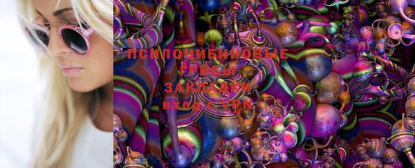 трава Алзамай