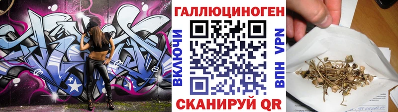 где купить Сибай Галлюциногенные грибы Psilocybine cubensis