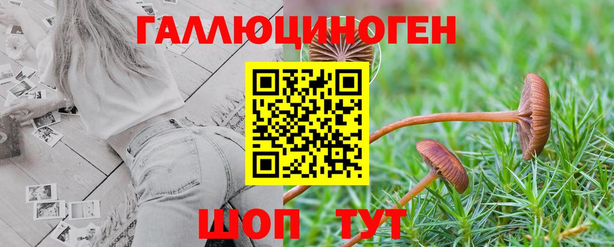 Галлюциногенные грибы мицелий Сибай